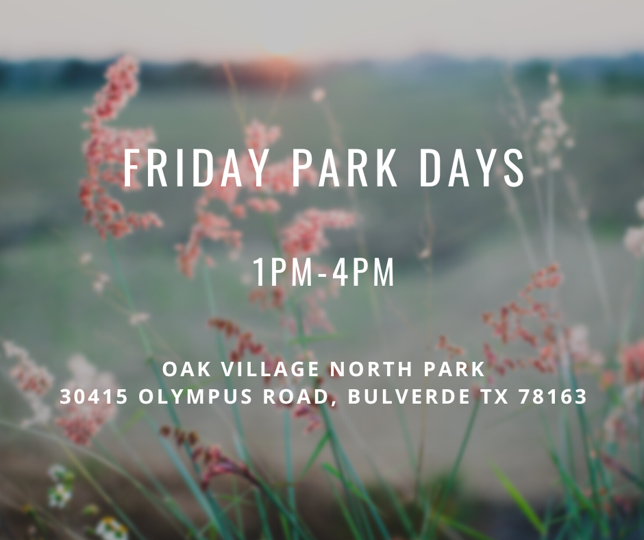 Friday Park Days